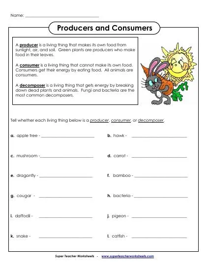 Producer consumer decomposer Interactive Worksheet – Edform