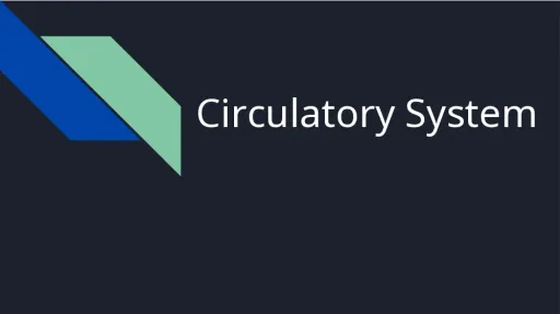 Interactive worksheet Circulatory System