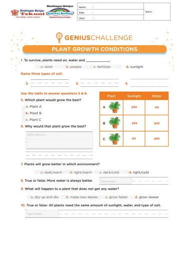 5th Grade Science worksheets – Edform