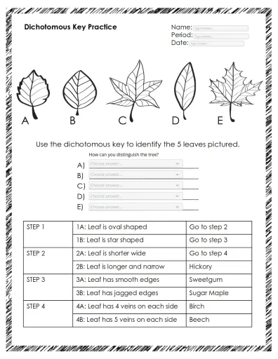 Dichotomous key tree worksheet Interactive Worksheet Edform