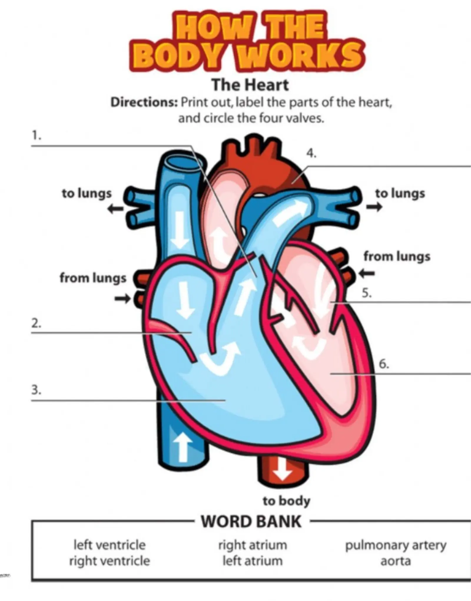 Worksheet Image