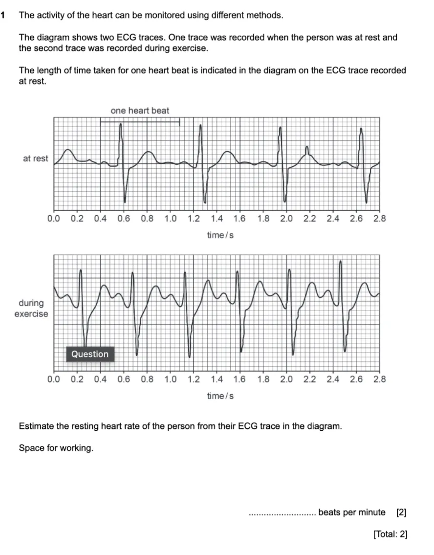9D650ECC 5D3E 4AD3 8FAF 760A9EBE23B2 Interactive Worksheet Edform