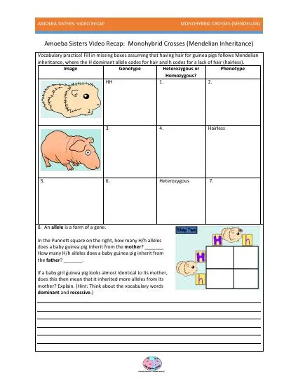 Amoeba Sisters - Monohybrid Cross Interactive Worksheet – Edform