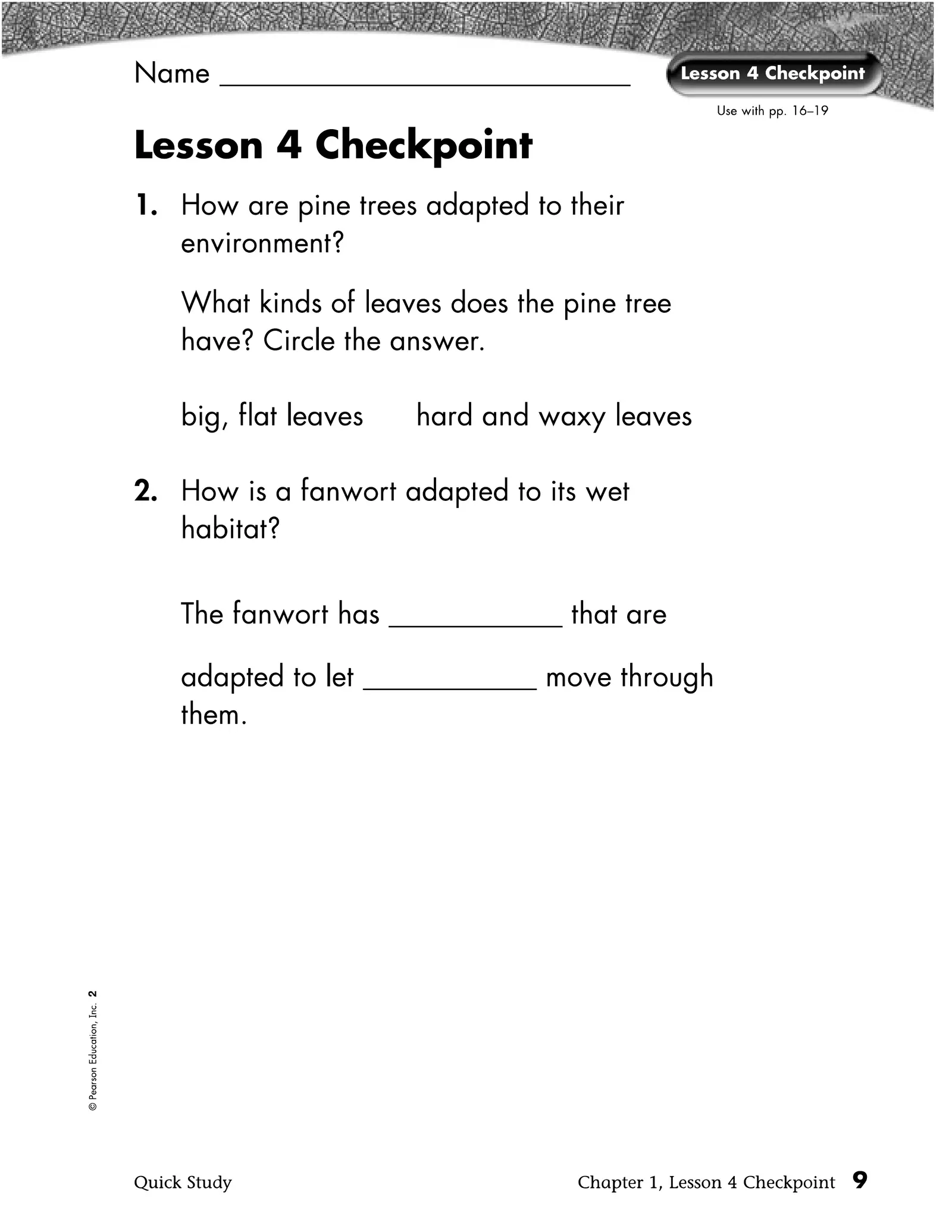 Pearson Education Inc Worksheets