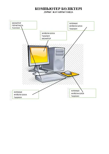NAME Interactive Worksheet – Edform