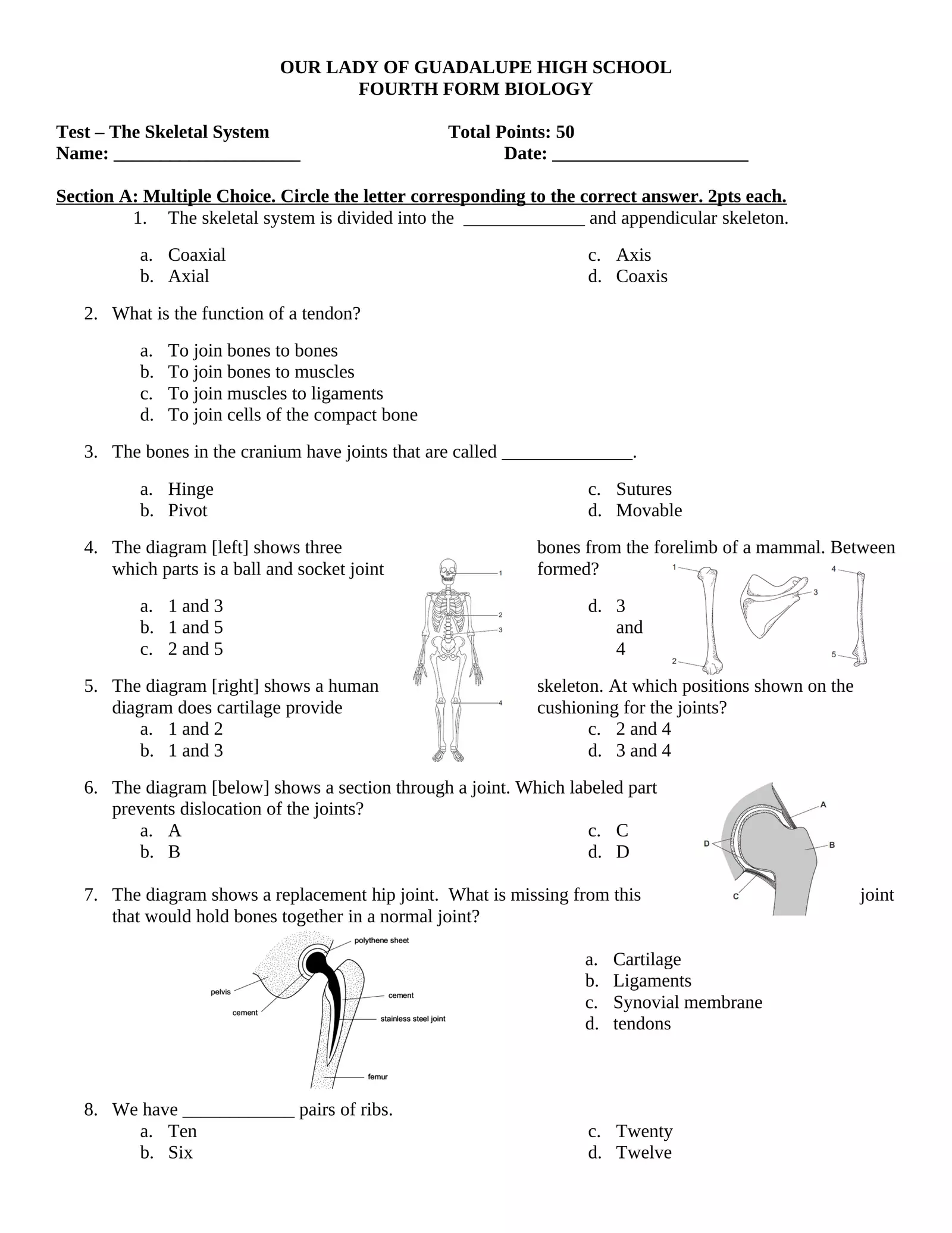 Skeletal Test Interactive Worksheet – Edform