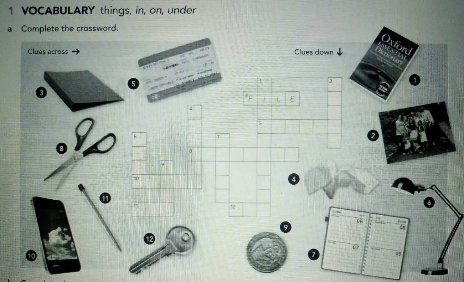 crossword Interactive Worksheet Edform