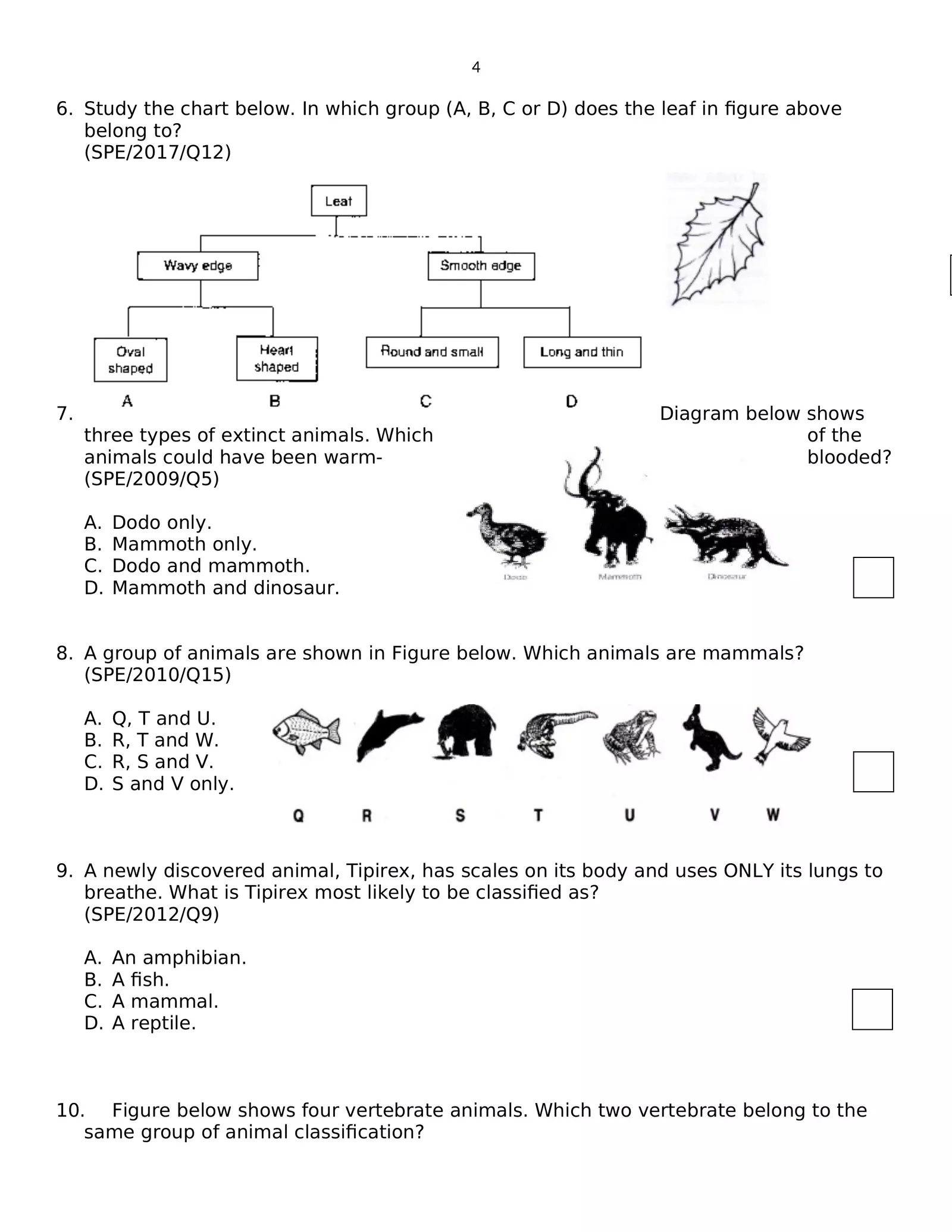 Worksheet Image