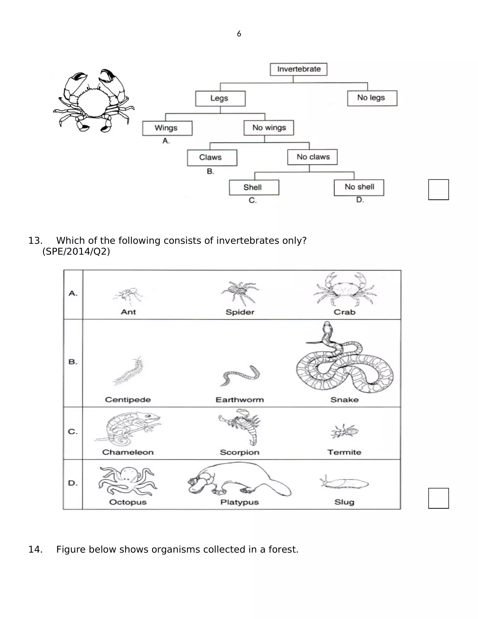 Worksheet Image