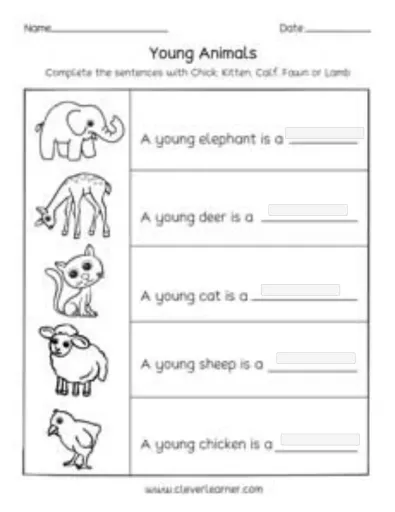 Science worksheets 1st grade
