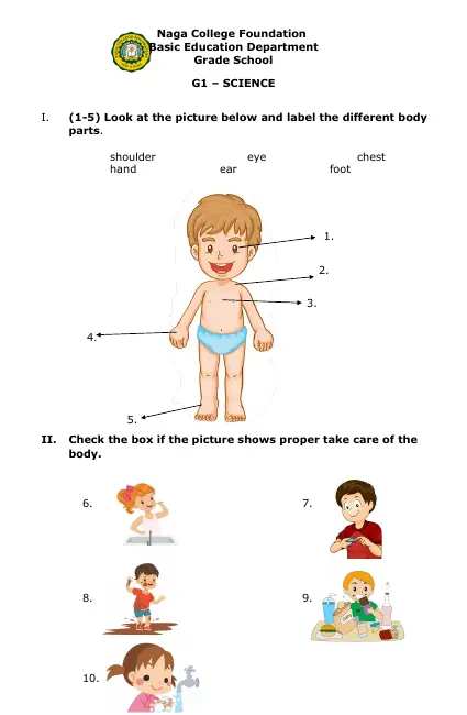 1st grade science interactive worksheets and auto graded exercises edform