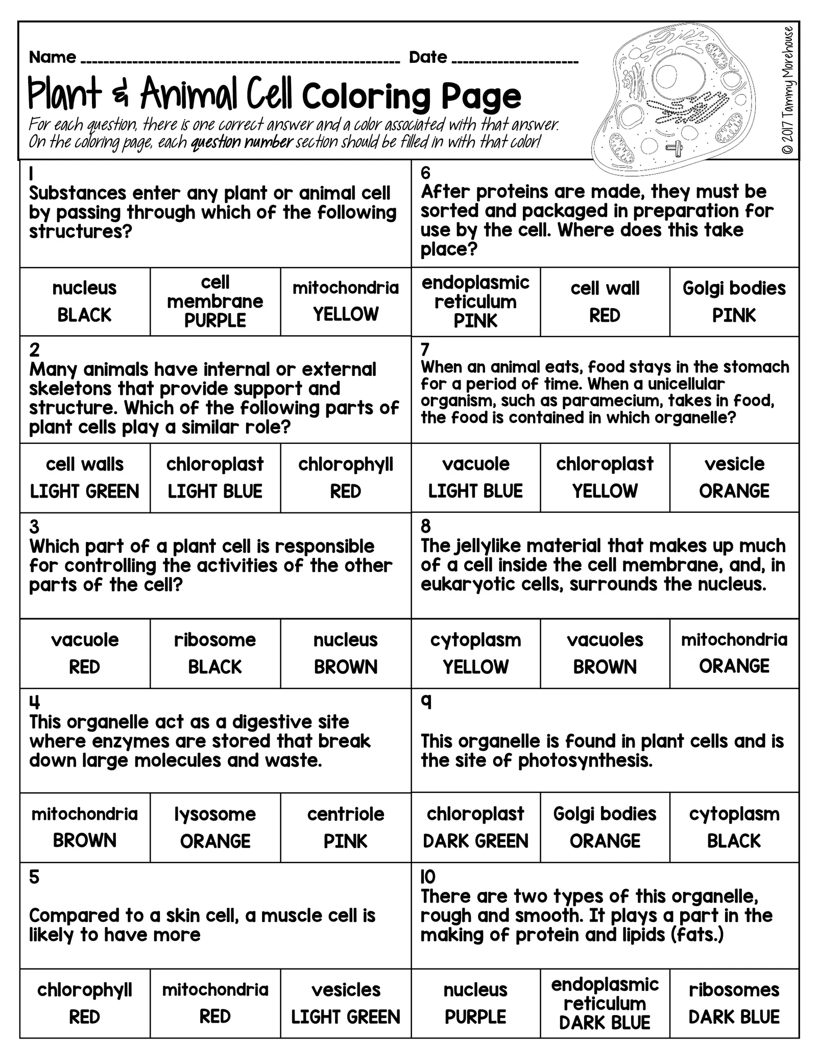 Animal cell coloring page with labels