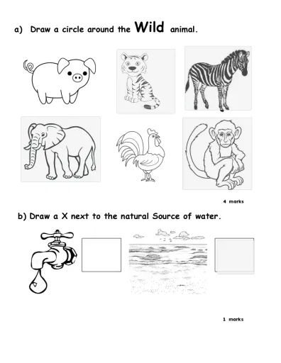 Push pull a Interactive Worksheet – Edform