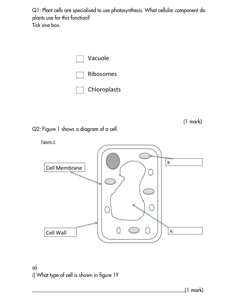 Cells question Interactive Worksheet – Edform