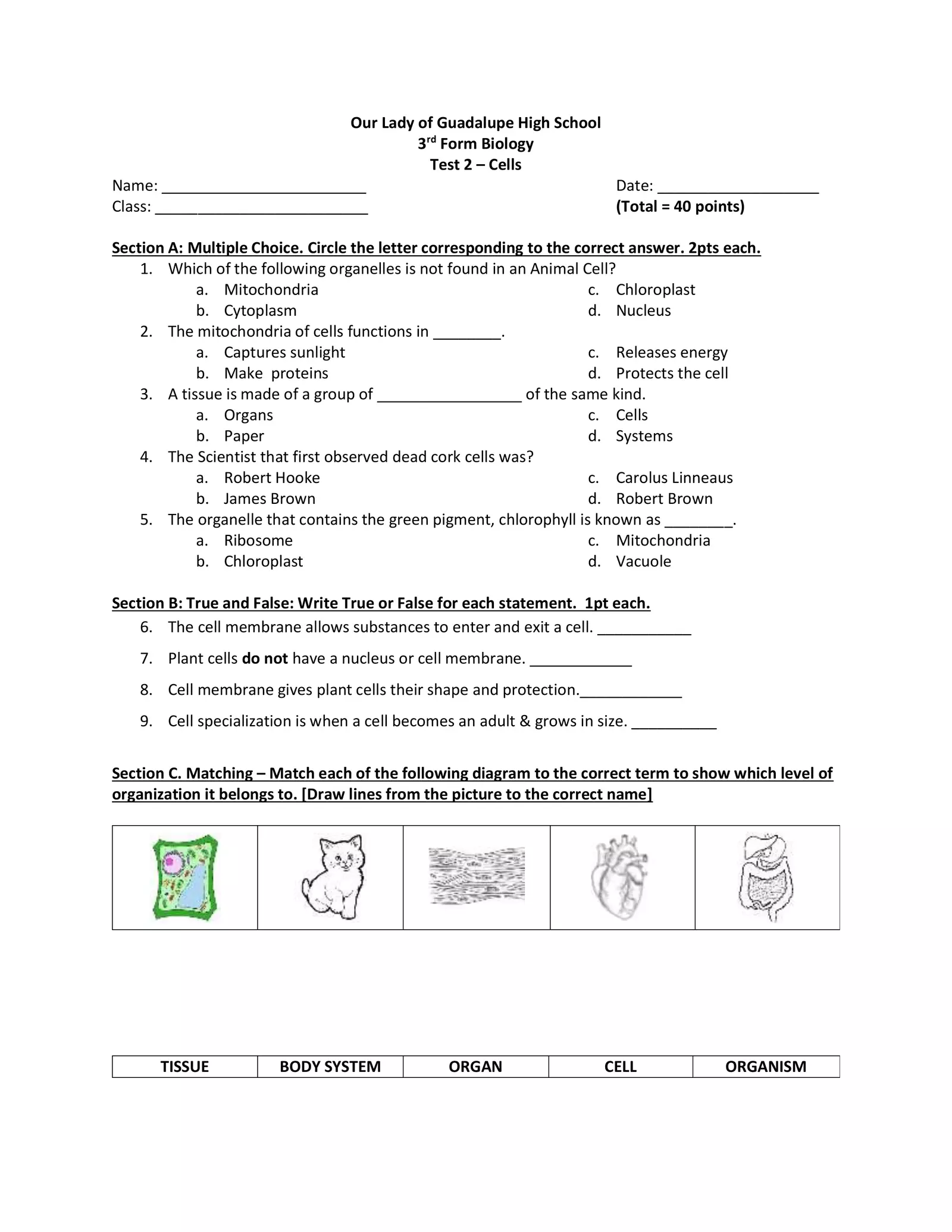 Cells Interactive Test Interactive Worksheet – Edform