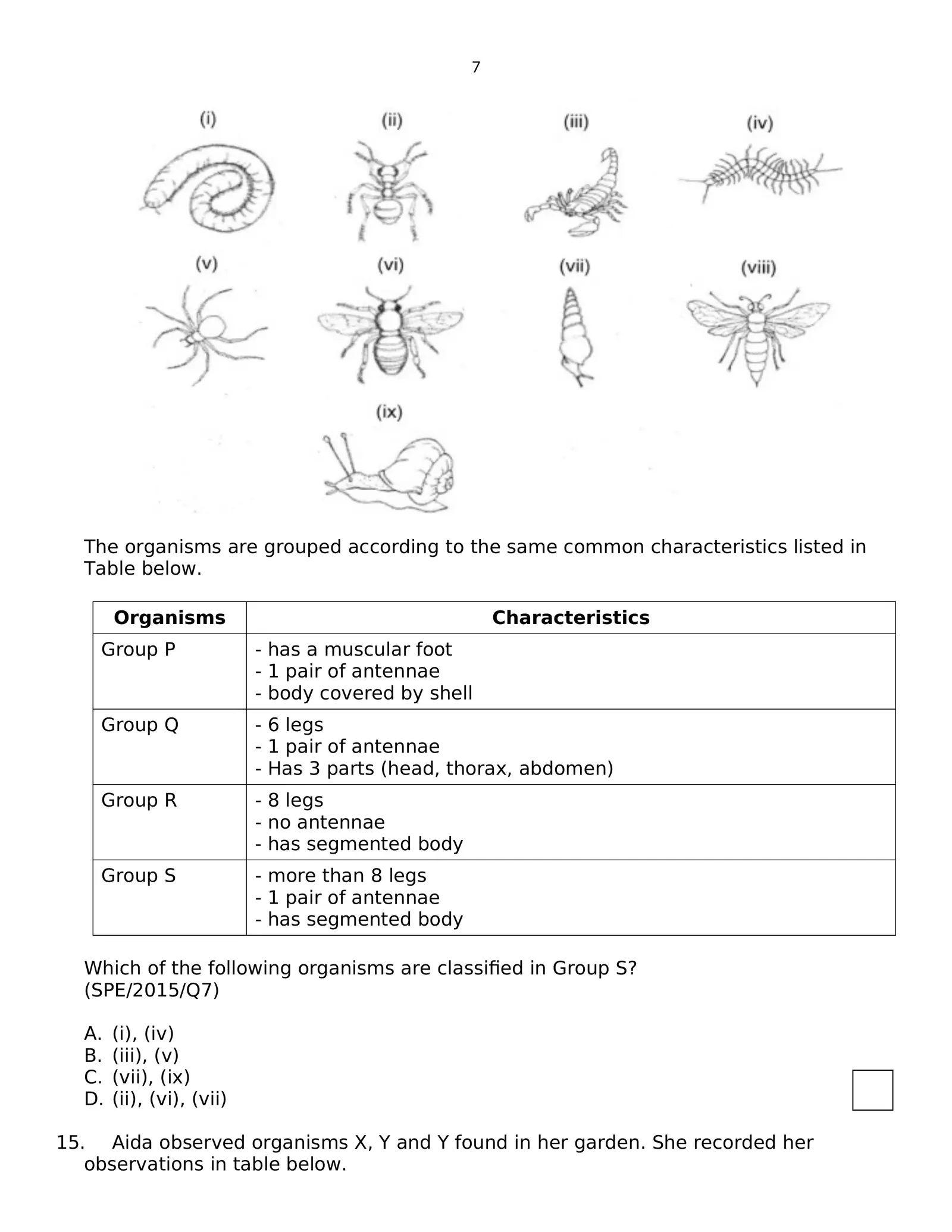 Worksheet Image