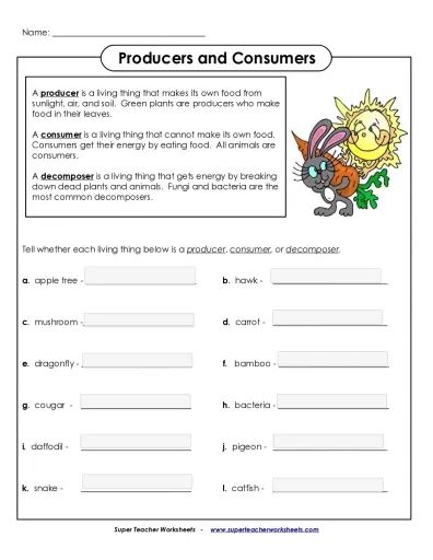 Producer consumer decomposer Interactive Worksheet – Edform