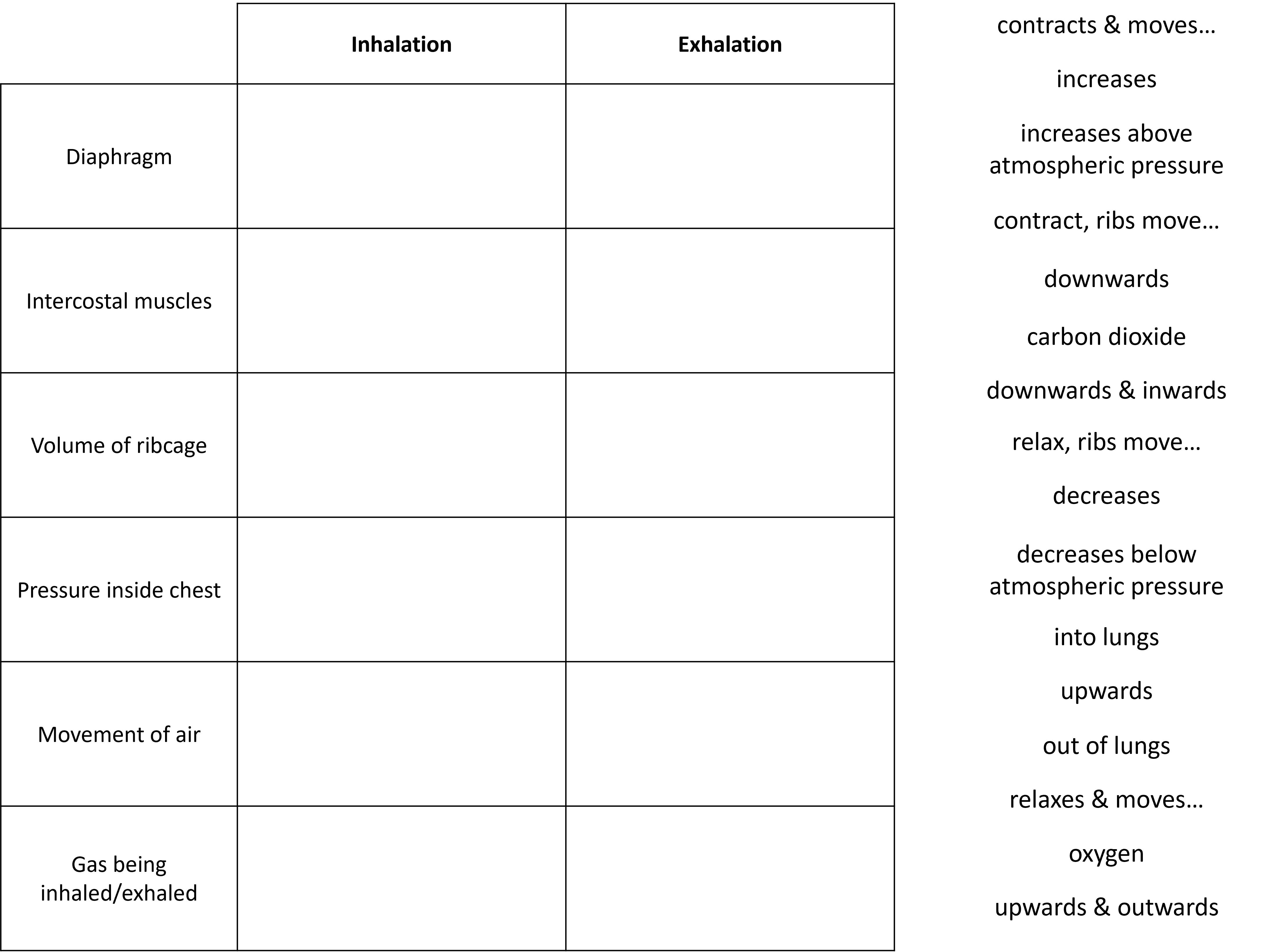 Is Your Breathing Balanced? Inhalation Vs. Exhalation Explained - gooxkou