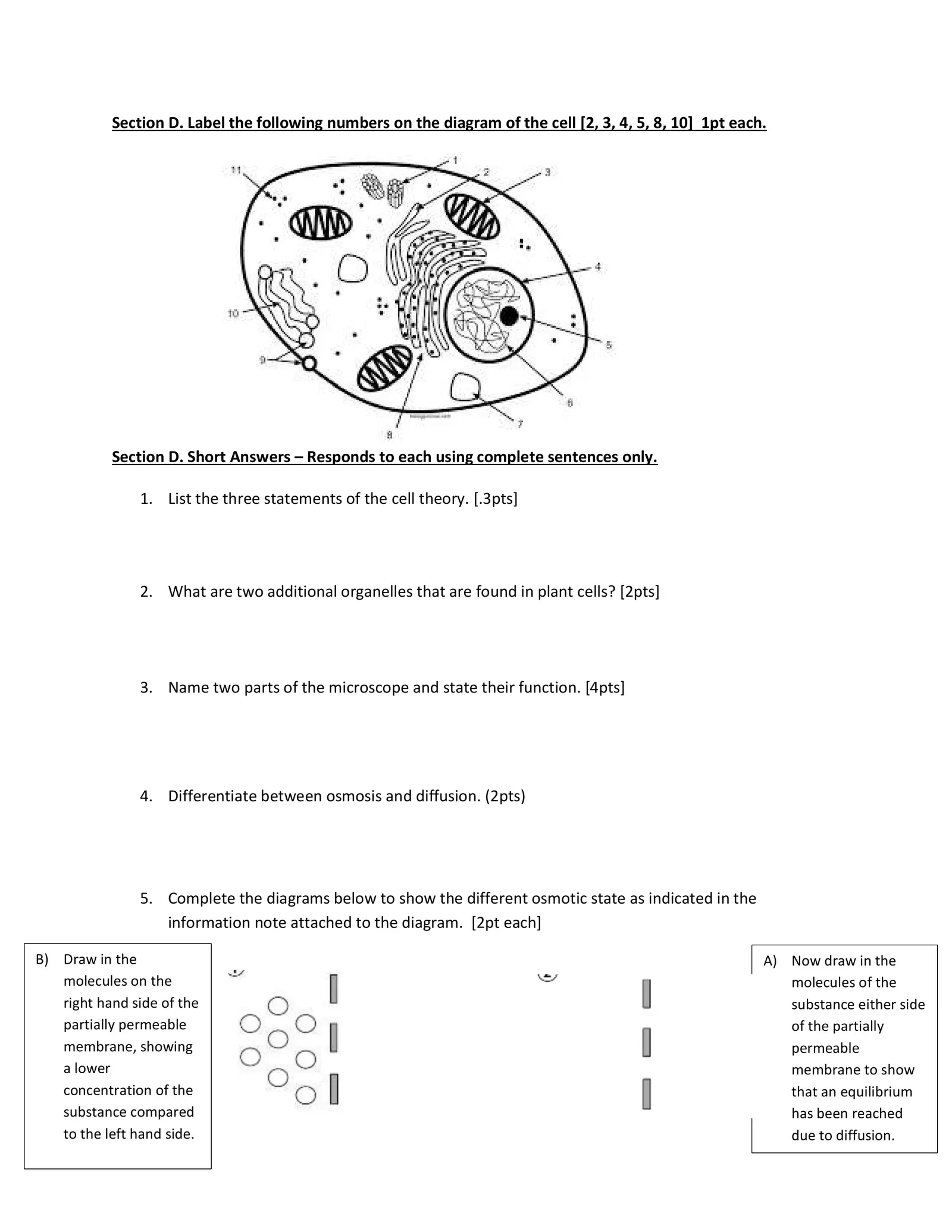 diffusion-diagram-worksheet