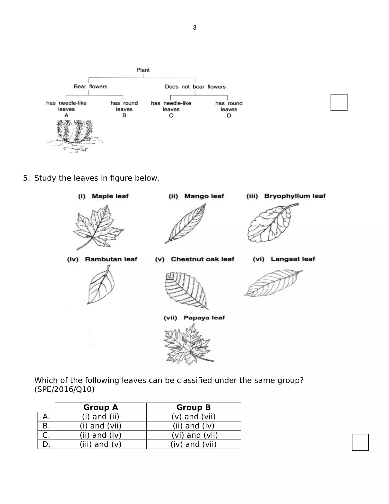 Worksheet Image