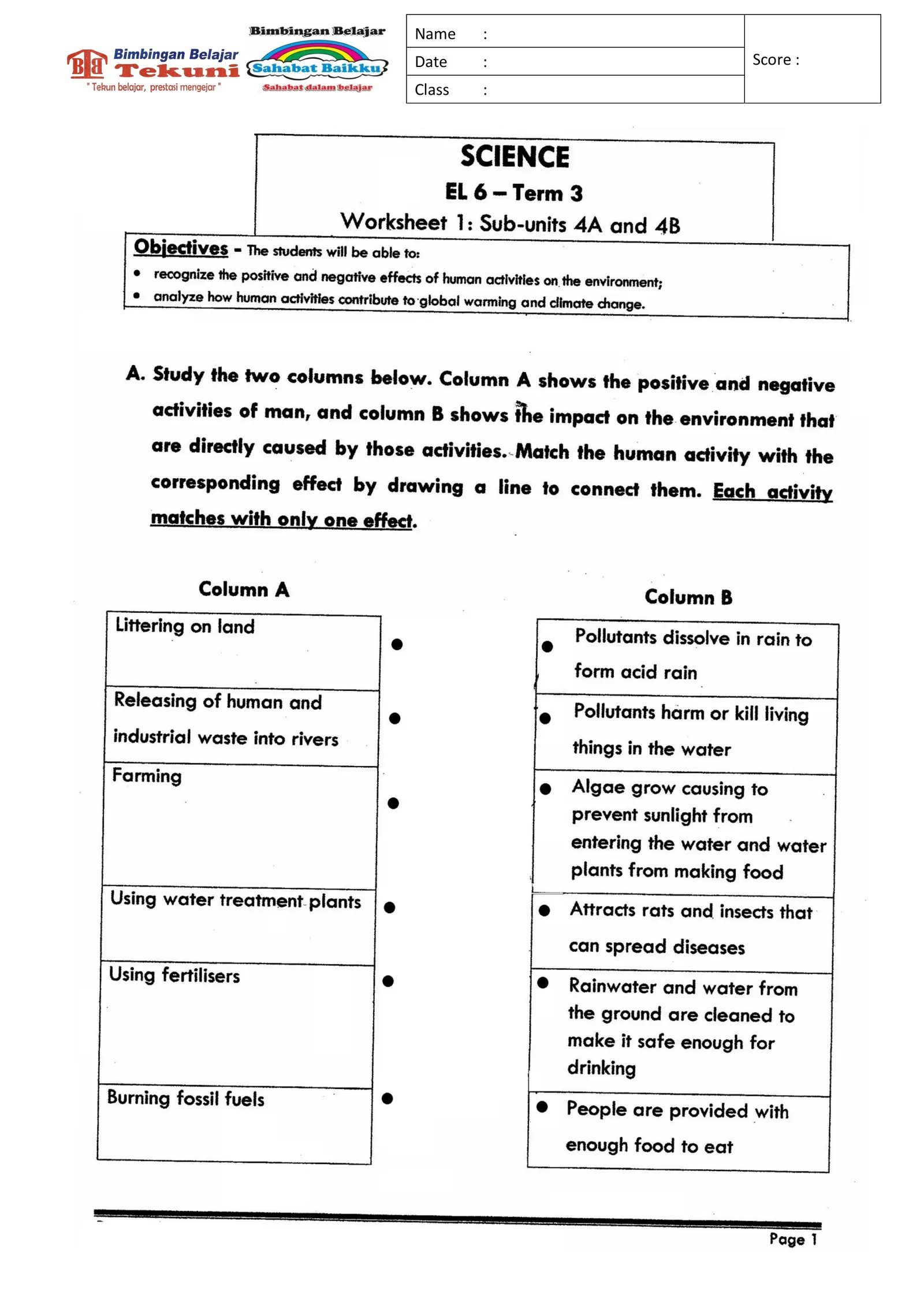 Science EL 6 Caring for Environment WS Interactive Worksheet ...